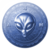Краткое описание монеты AlienForm