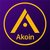 Summary of the coin Akoin