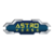 ملخص العملة Astro Verse