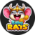 Краткое описание монеты Baby Rats
