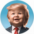 Resumo da moeda Baby Trump (BSC)