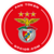 د سکې لنډیز SL Benfica Fan Token