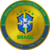Краткое описание монеты Brazil National Football Team Fan Token
