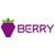 د سکې لنډیز Berry Data