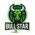 សេចក្តីសង្ខេបនៃកាក់ Bull Star Finance