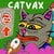 Ringkasan koin Catvax