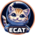 Краткое описание монеты ELON CAT FINANCE