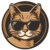 सिक्के का सारांश Cat of ELON