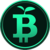 Sintesi della moneta Green Bitcoin