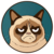 Zusammenfassung der Münze Grumpy Cat