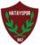 Краткое описание монеты Hatayspor Token