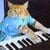 د سکې لنډیز Keyboard Cat