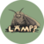 សេចក្តីសង្ខេបនៃកាក់ LAMP