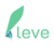 အကြွေစေ့အကျဉ်းချုပ် Leve Invest