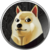 Summary of the coin Mars Doge