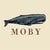 Краткое описание монеты Moby