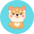 Summary of the coin Mommy Doge