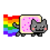 سکے کا خلاصہ Nyan Meme Coin