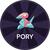 Summary of the coin Porygon