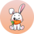 Краткое описание монеты Rabbit Inu