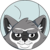 Краткое описание монеты Rocket Raccoon Token