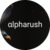Zusammenfassung der Münze AlphaRushAI