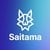 resumen de la moneda Saitama