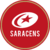 Summary of the coin Saracens Fan Token