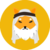Summary of the coin Sheikh Inu