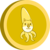 Madeni paranın özeti Squoge Coin