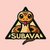 Краткое описание монеты Subava Token