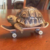 សេចក្តីសង្ខេបនៃកាក់ Tech Deck Turtle