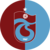 Summary of the coin Trabzonspor Fan Token