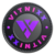 コインの概要 VitnixX