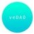 Краткое описание монеты veDAO