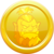 Краткое описание монеты Yaki Gold