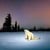 အကြွေစေ့အကျဉ်းချုပ် Polar Bear 2026
