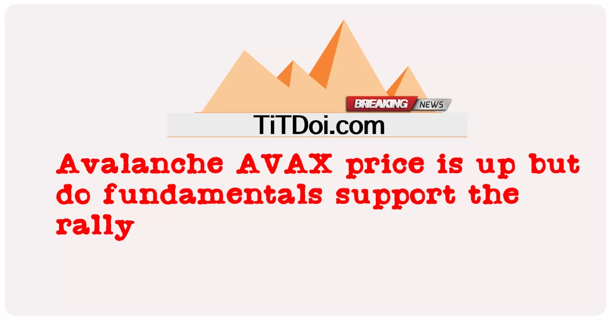 Avalanche AVAX 가격이 상승했지만 펀더멘털이 랠리를 지원합니까? -  Avalanche AVAX price is up but do fundamentals support the rally