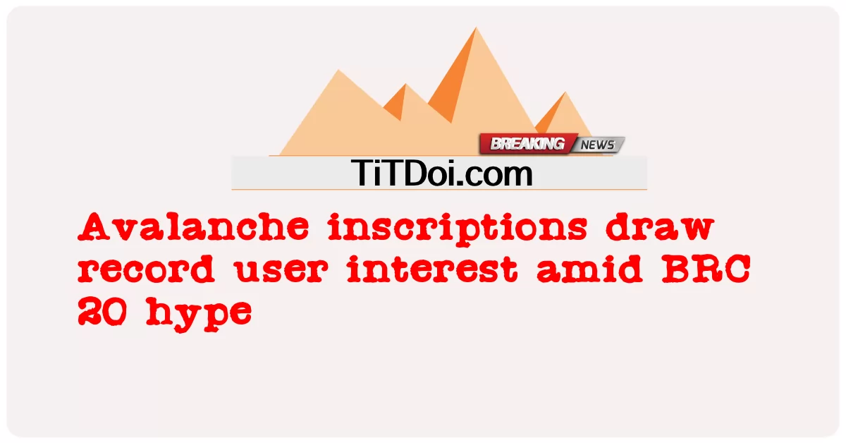 Avalanche inscriptions draw record user interest amid BRC 20 hype
