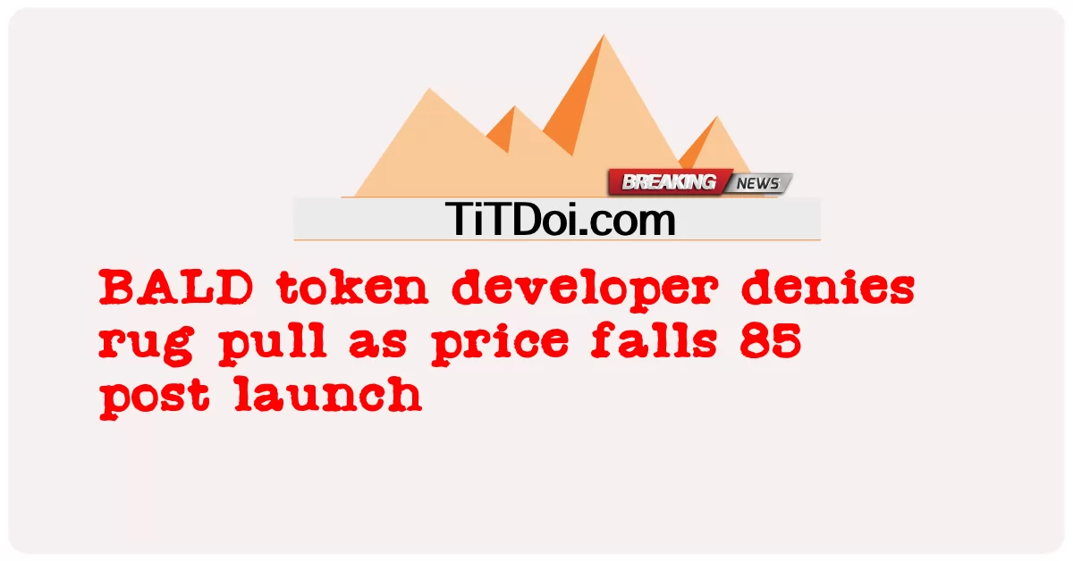BALD 토큰 개발자는 출시 후 85 가격 하락으로 러그 풀을 거부합니다. -  BALD token developer denies rug pull as price falls 85 post launch