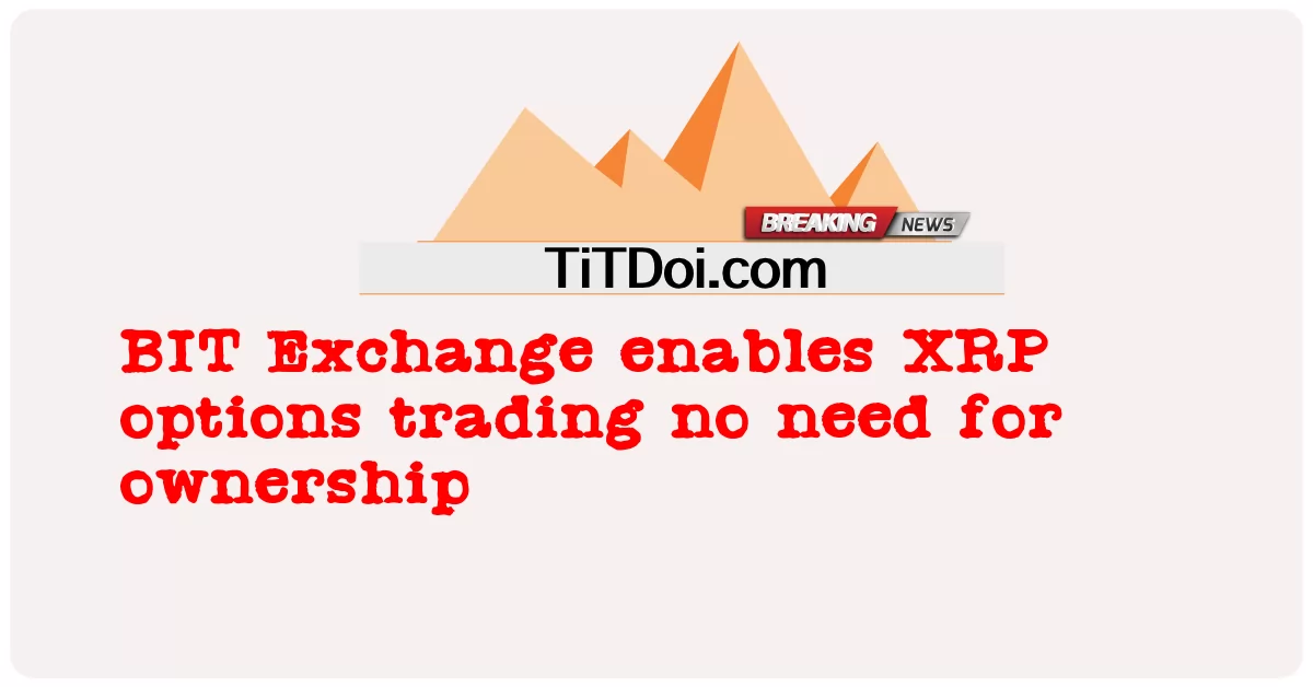 BIT Exchange는 소유권이 필요 없는 XRP 옵션 거래를 가능하게 합니다. -  BIT Exchange enables XRP options trading no need for ownership
