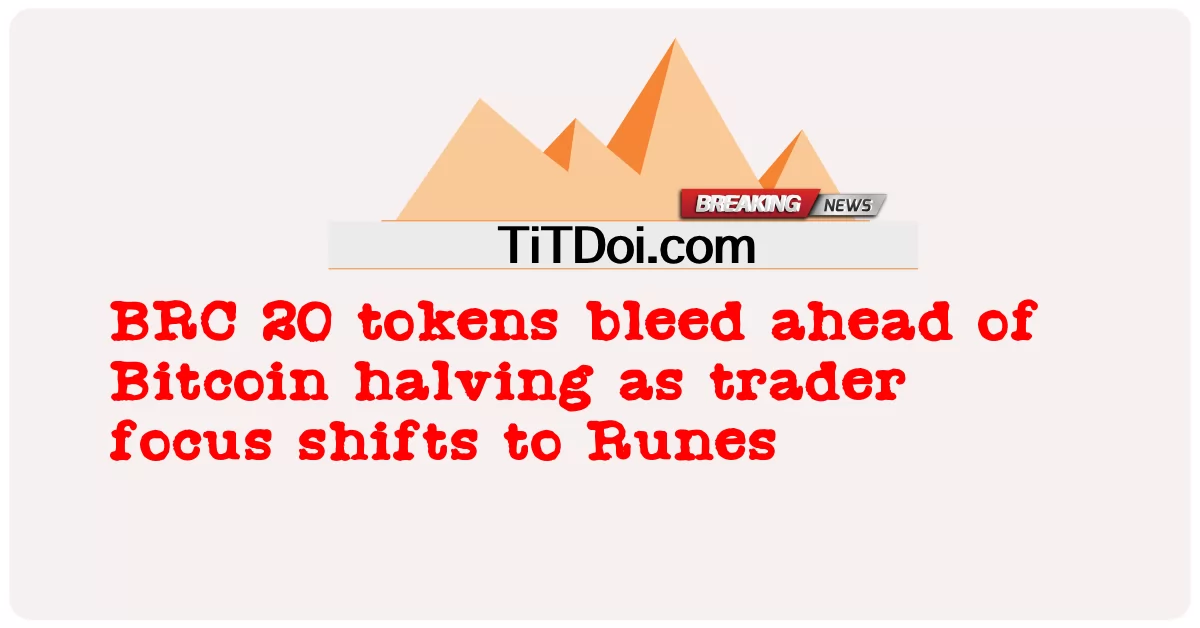ကုန်သည် များ က ရွန်းစ် သို့ အာရုံပြောင်း သကဲ့သို့ ဘစ်ကိုအင် ၏ ထက်ဝက် ရှေ့ တွင် BRC 20 အမှတ်အသား များ သွေးထွက် ခဲ့ သည် -  BRC 20 tokens bleed ahead of Bitcoin halving as trader focus shifts to Runes