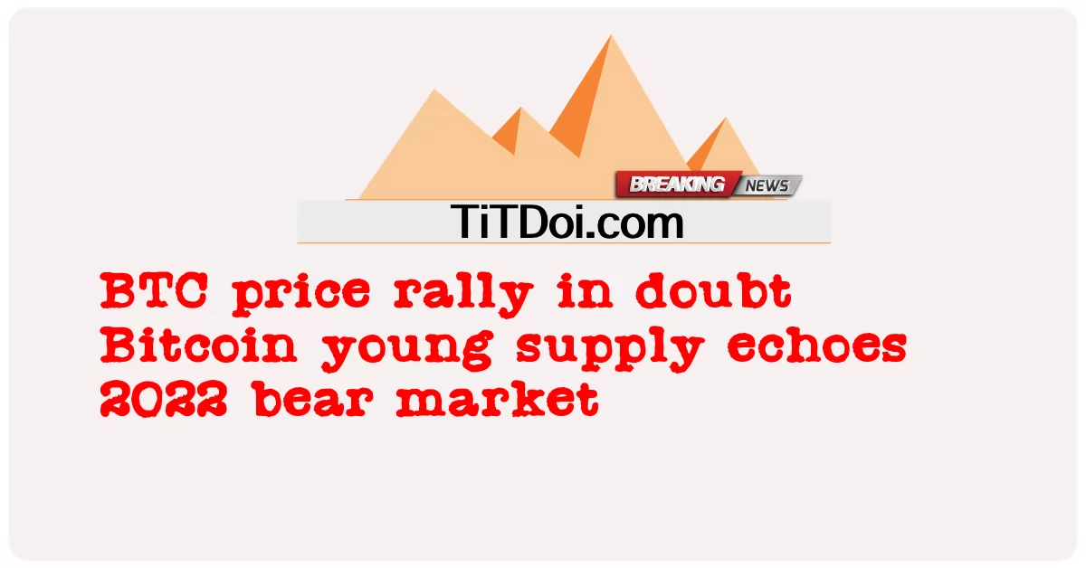 Kenaikan harga BTC diragui Bitcoin bekalan muda gema pasaran beruang 2022 -  BTC price rally in doubt Bitcoin young supply echoes 2022 bear market