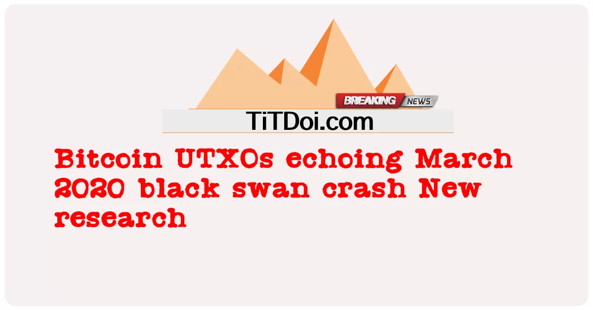 Bitcoin UTXOs faisant écho au crash du cygne noir de mars 2020 Nouvelle recherche -  Bitcoin UTXOs echoing March 2020 black swan crash New research