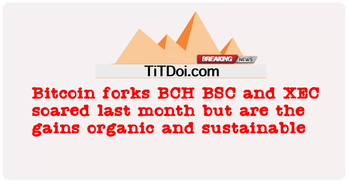 Bitcoin forks BCH BSC และ XEC ทะยานขึ้นเมื่อเดือนที่แล้ว แต่เป็นกําไรออร์แกนิกและยั่งยืน -  Bitcoin forks BCH BSC and XEC soared last month but are the gains organic and sustainable