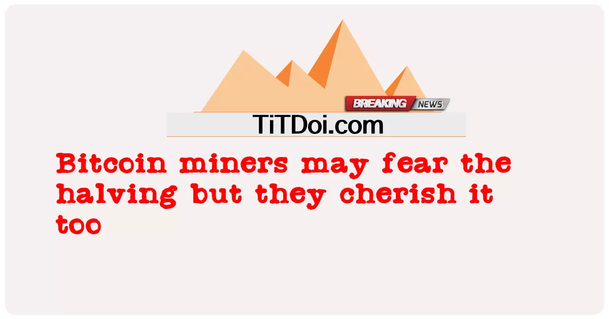 비트코인 채굴자들은 반감기를 두려워할 수 있지만 반감기를 소중히 여기기도 합니다 -  Bitcoin miners may fear the halving but they cherish it too