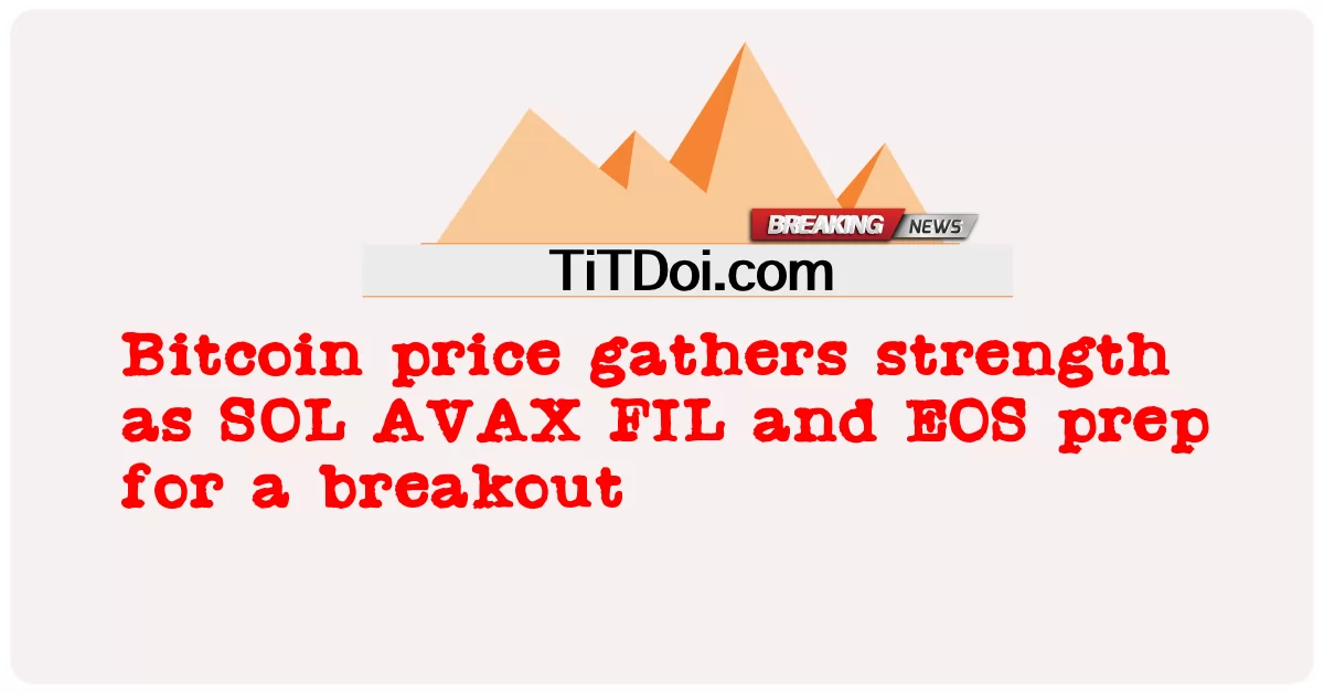 El precio de Bitcoin cobra fuerza mientras SOL AVAX FIL y EOS se preparan para una ruptura -  Bitcoin price gathers strength as SOL AVAX FIL and EOS prep for a breakout