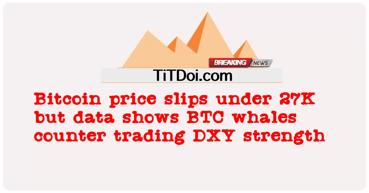 비트코인 가격은 27K 아래로 하락하지만 데이터에 따르면 BTC 고래는 DXY 강세에 대응합니다. -  Bitcoin price slips under 27K but data shows BTC whales counter trading DXY strength