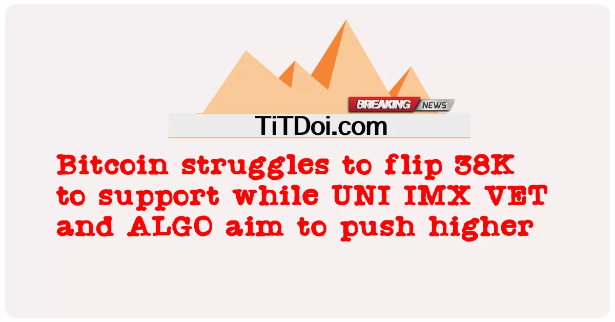 比特币努力翻转 38K 以支撑位，而 UNI IMX VET 和 ALGO 旨在推高 -  Bitcoin struggles to flip 38K to support while UNI IMX VET and ALGO aim to push higher