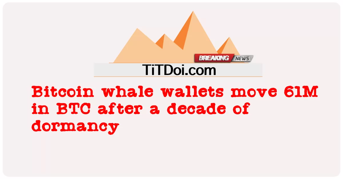 ဘစ်ကိုအင် ဝေလငါးတွေဟာ ဆယ်စုနှစ်တစ်ခု အိပ်ဆောင်ပြီးတဲ့နောက် ဘီတီစီမှာ ၆၁ မီတာ ရွေ့လျားနေ -  Bitcoin whale wallets move 61M in BTC after a decade of dormancy